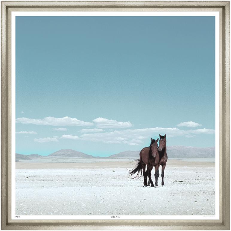 “Wild Horses”-$2,375.00