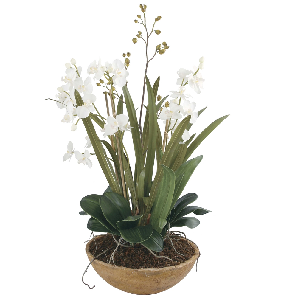 Orchid Planter-$545.00