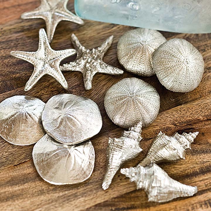 Mini Seashells-$5.00 ea