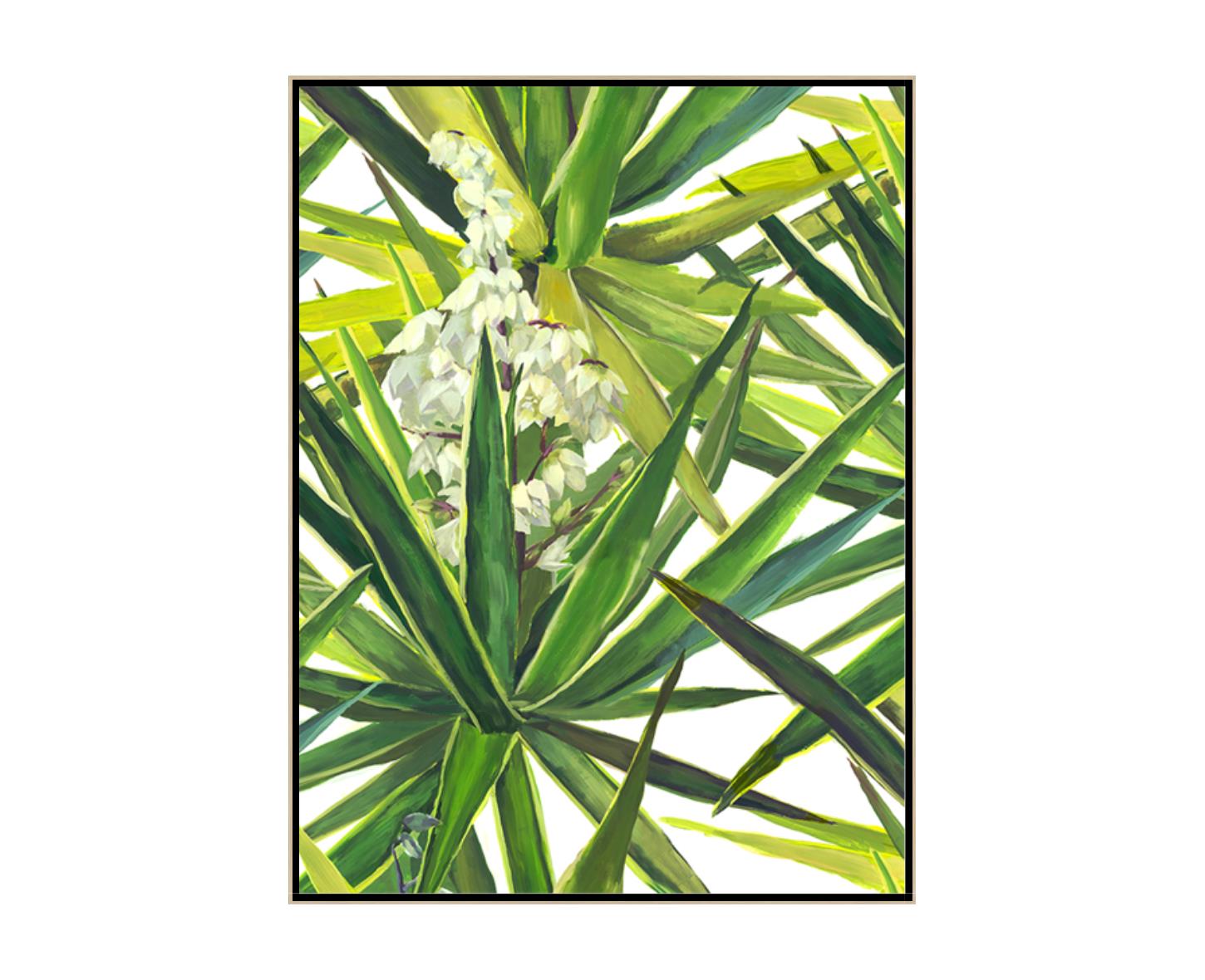 “Flowering Yuccas”-$625.00