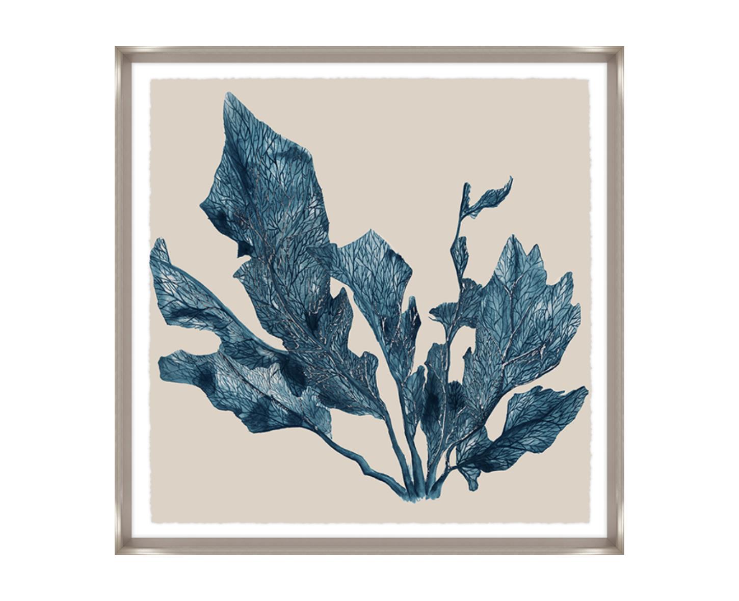 “Blue Coral II”-$558.00