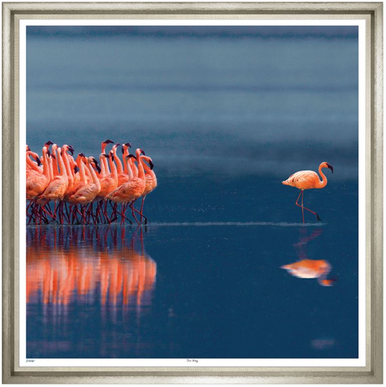 “This Way”-$2,650.00 anti-glare