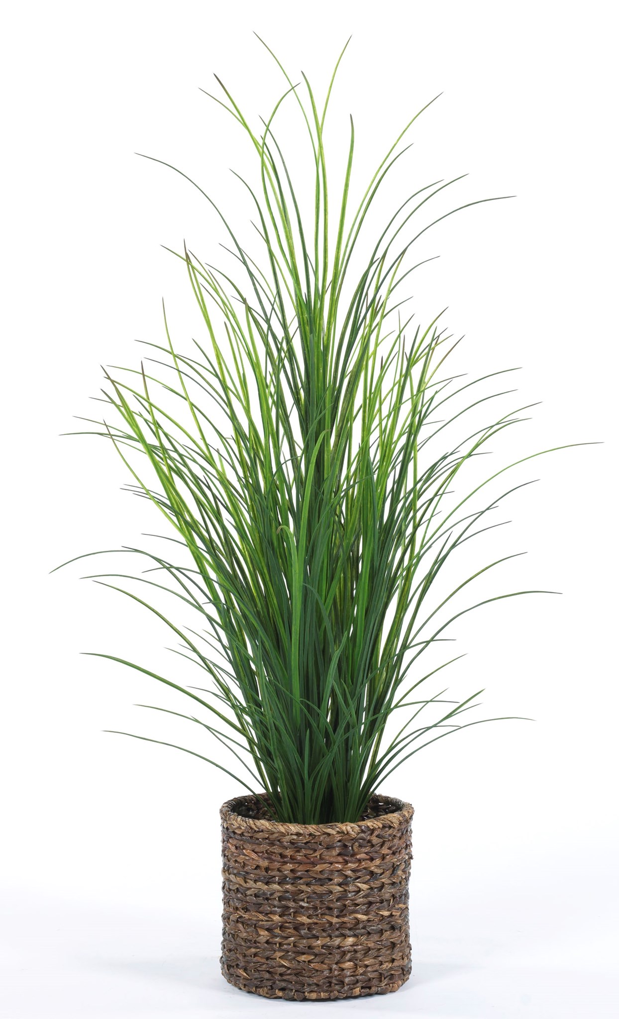 Grass-$475.00