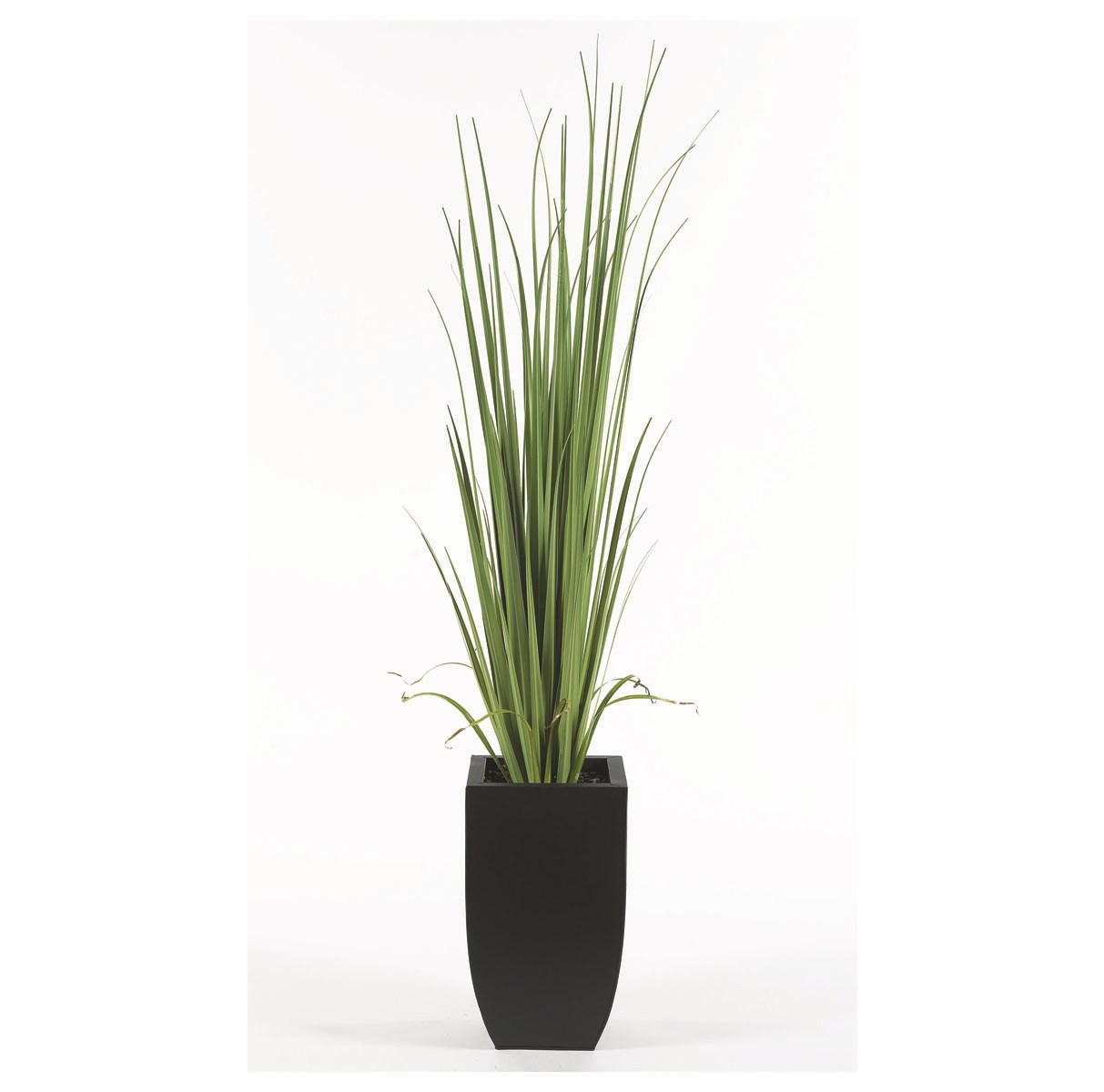 Contemporary Grass Floor Plant-$782.00