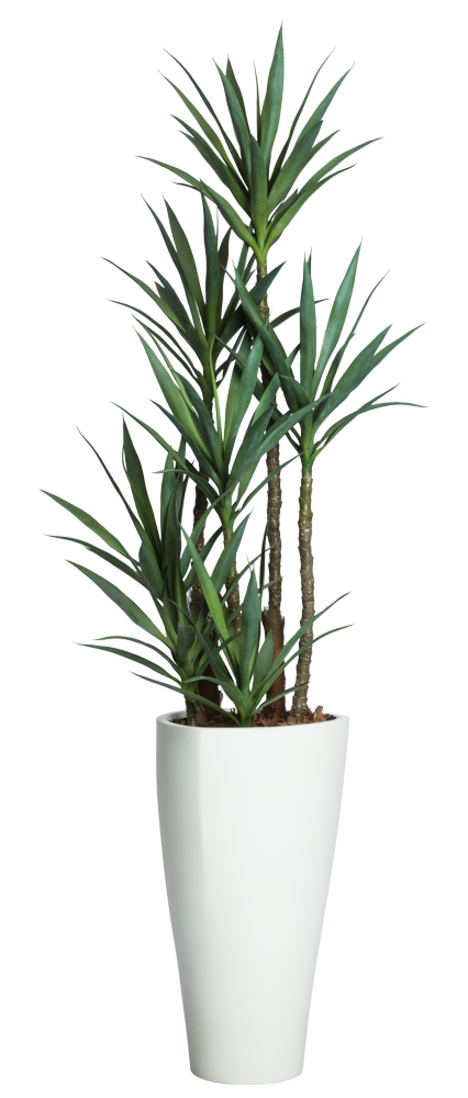 Deluxe Skinny Yucca-$1,245.00