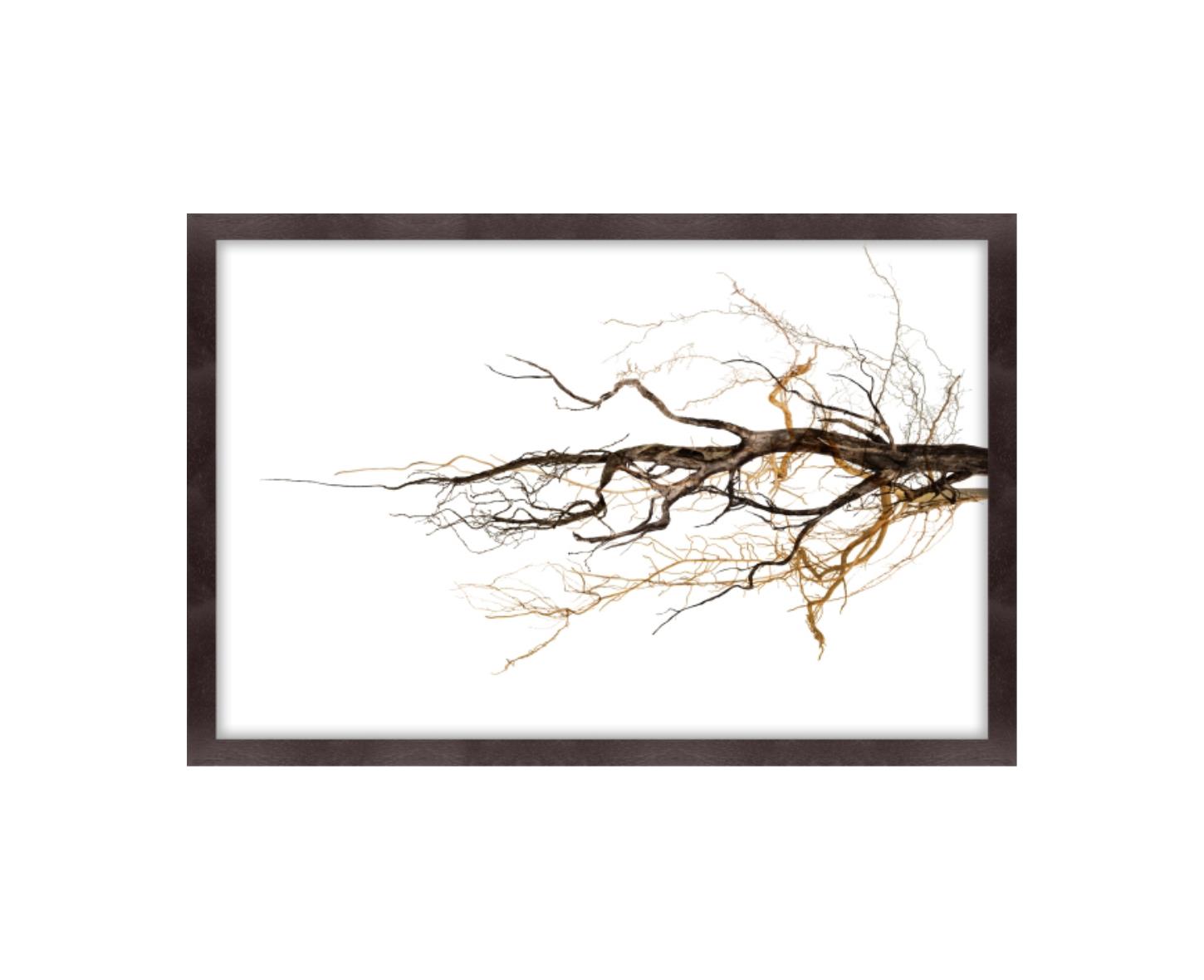 “Branches”-$1,365.00