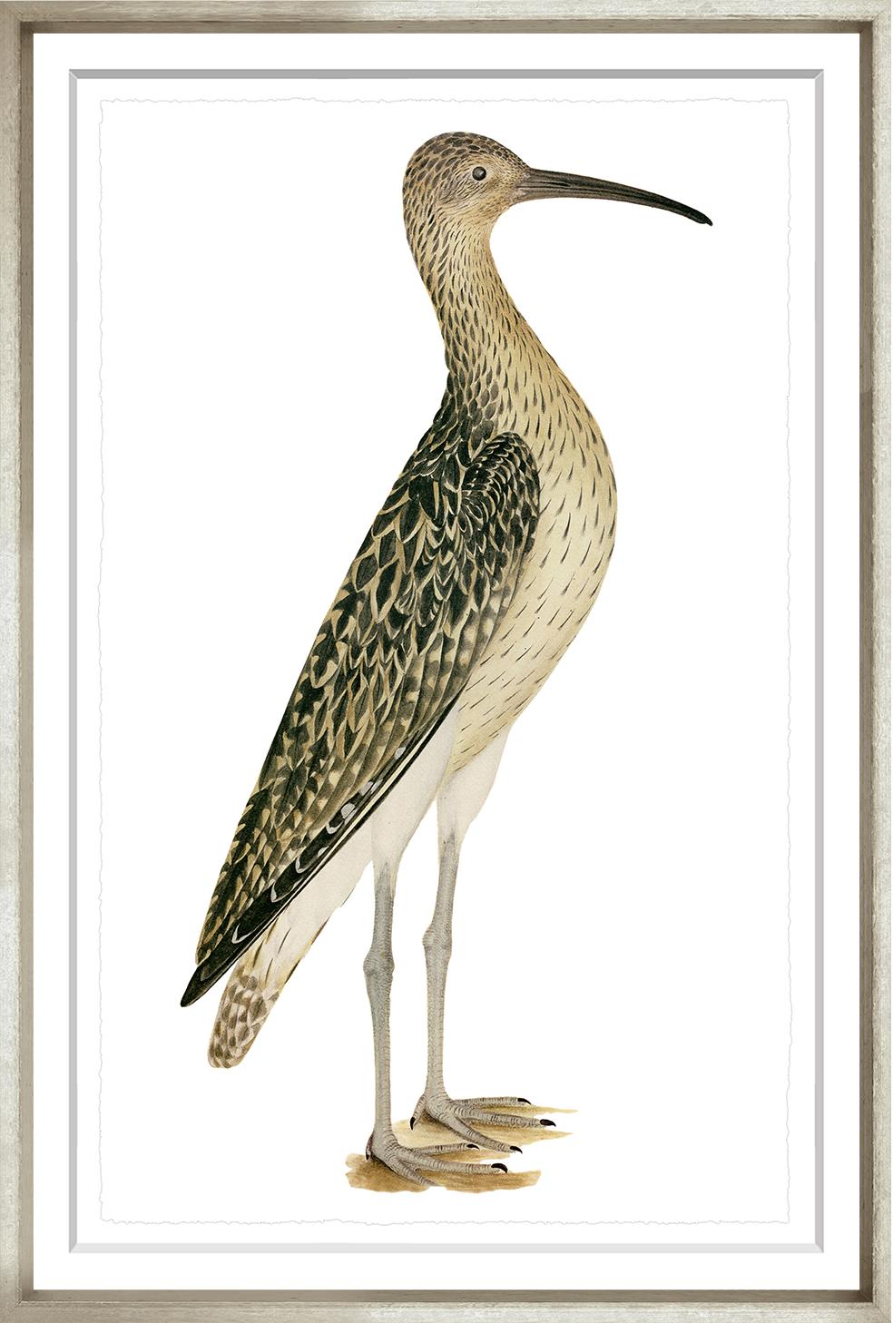 “Swedish Birds 4”-$345.00