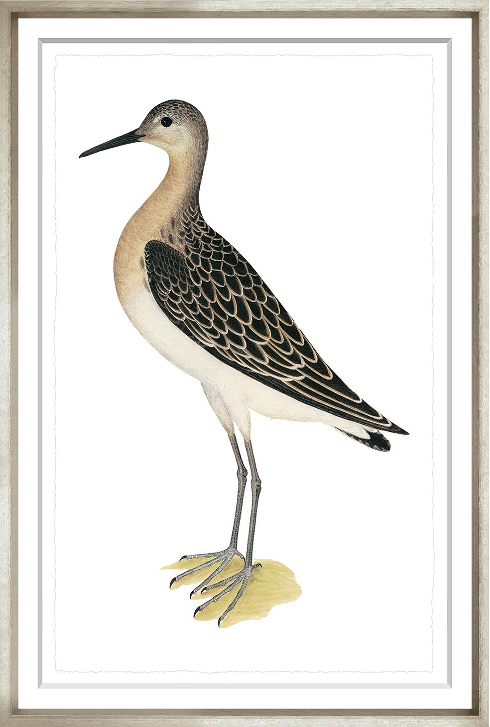 “Swedish Birds 5”-$345.00