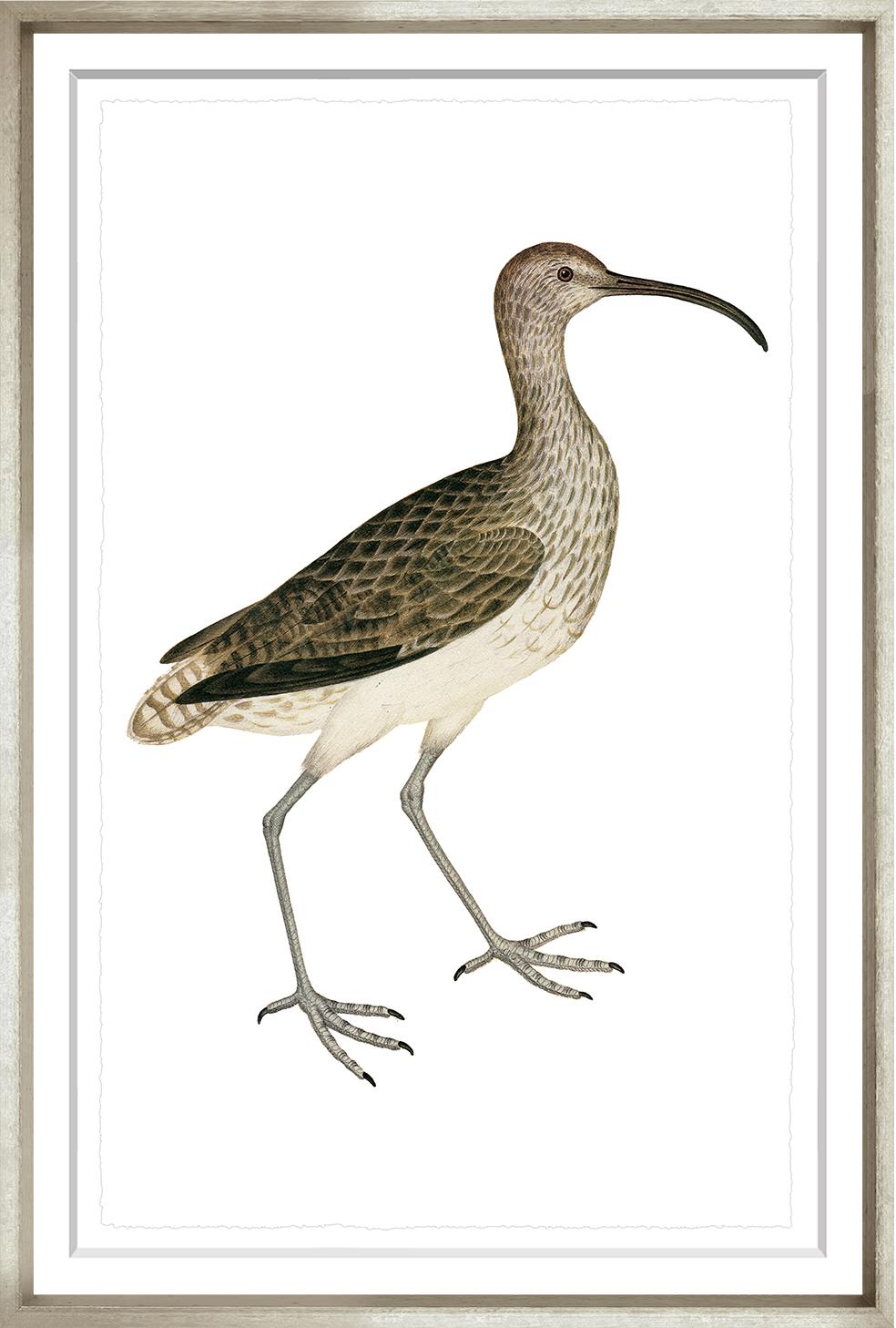 “Swedish Birds 6”-$345.00