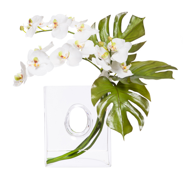 WHITE PHAL ORCHID WATER LIKE-$398.00