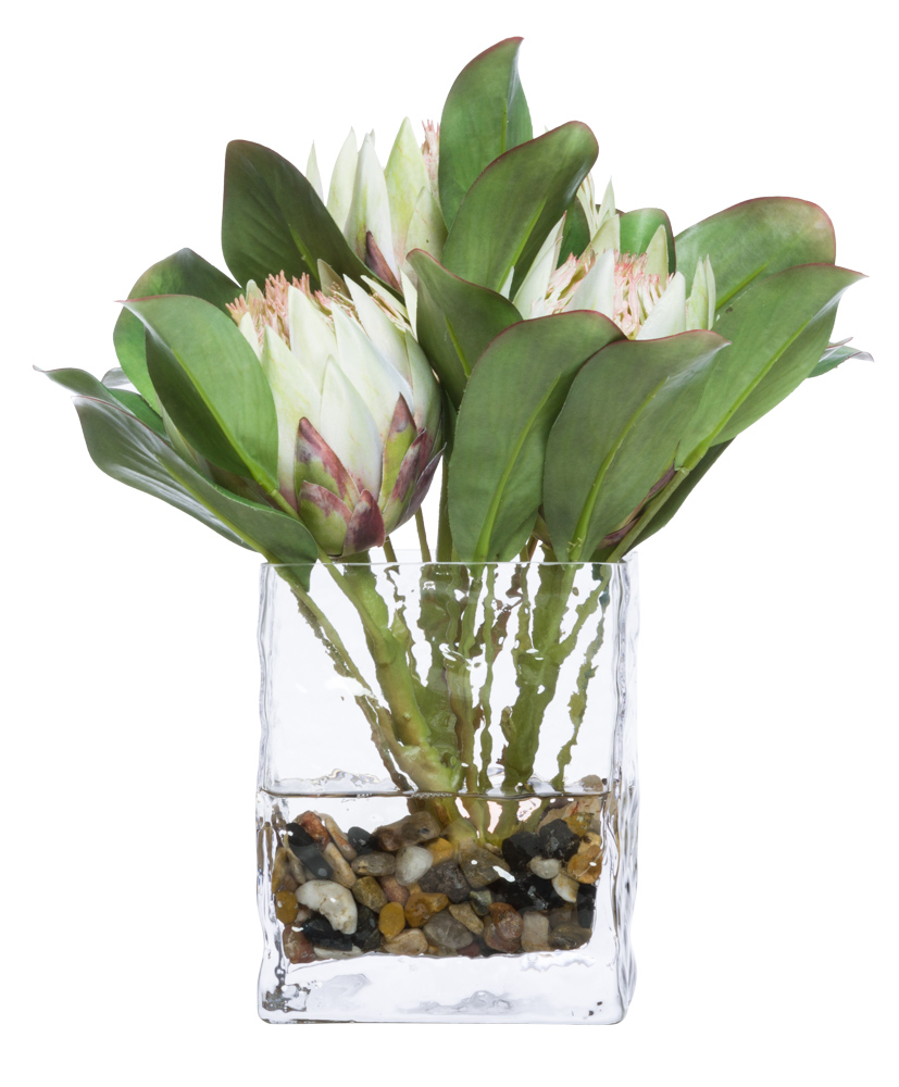 LT GREEN PROTEA WATER LIKE-$238.00