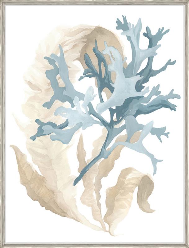 “Plant of Aqua VI”-$825.00  OA