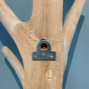 Magosteen Wall Rack detail 2