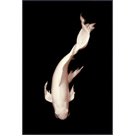 “Swimming Koi II”-$1,272.00