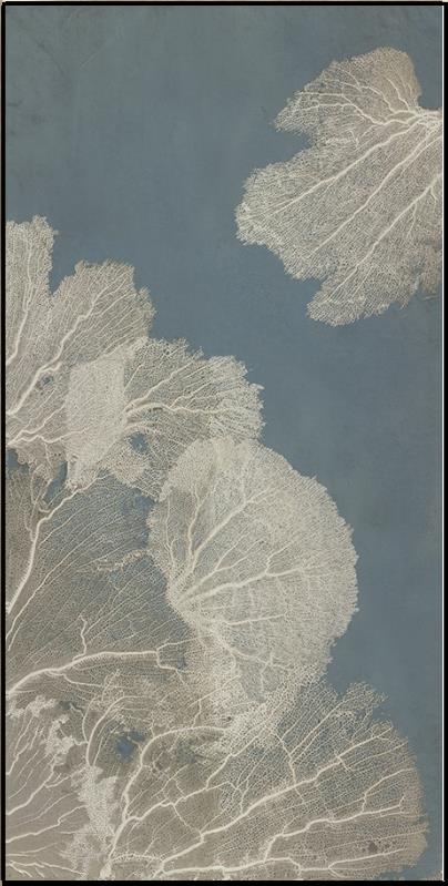 “Translucent Seafan I”-$848.00  OA