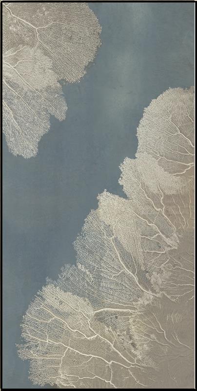 “Translucent Seafan II”-$848.00  OA