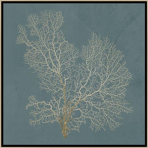 “Under the Sea IX”-$485.00  OA