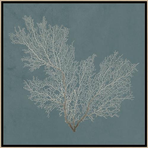 “Under the Sea VII”-$485.00  OA