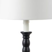 13-1543_Ebony-3