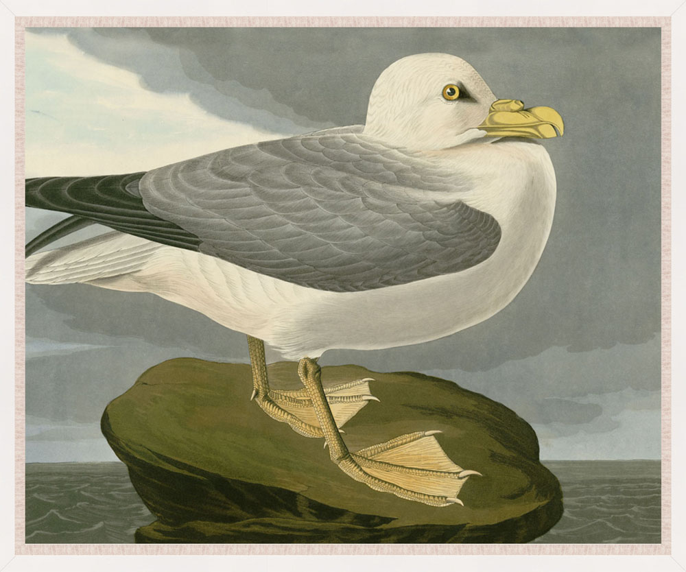 “Single Seagull”-$445.00