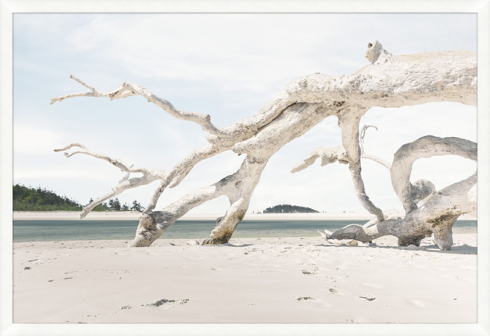 “Driftwood on the Beach”-$1,998.00