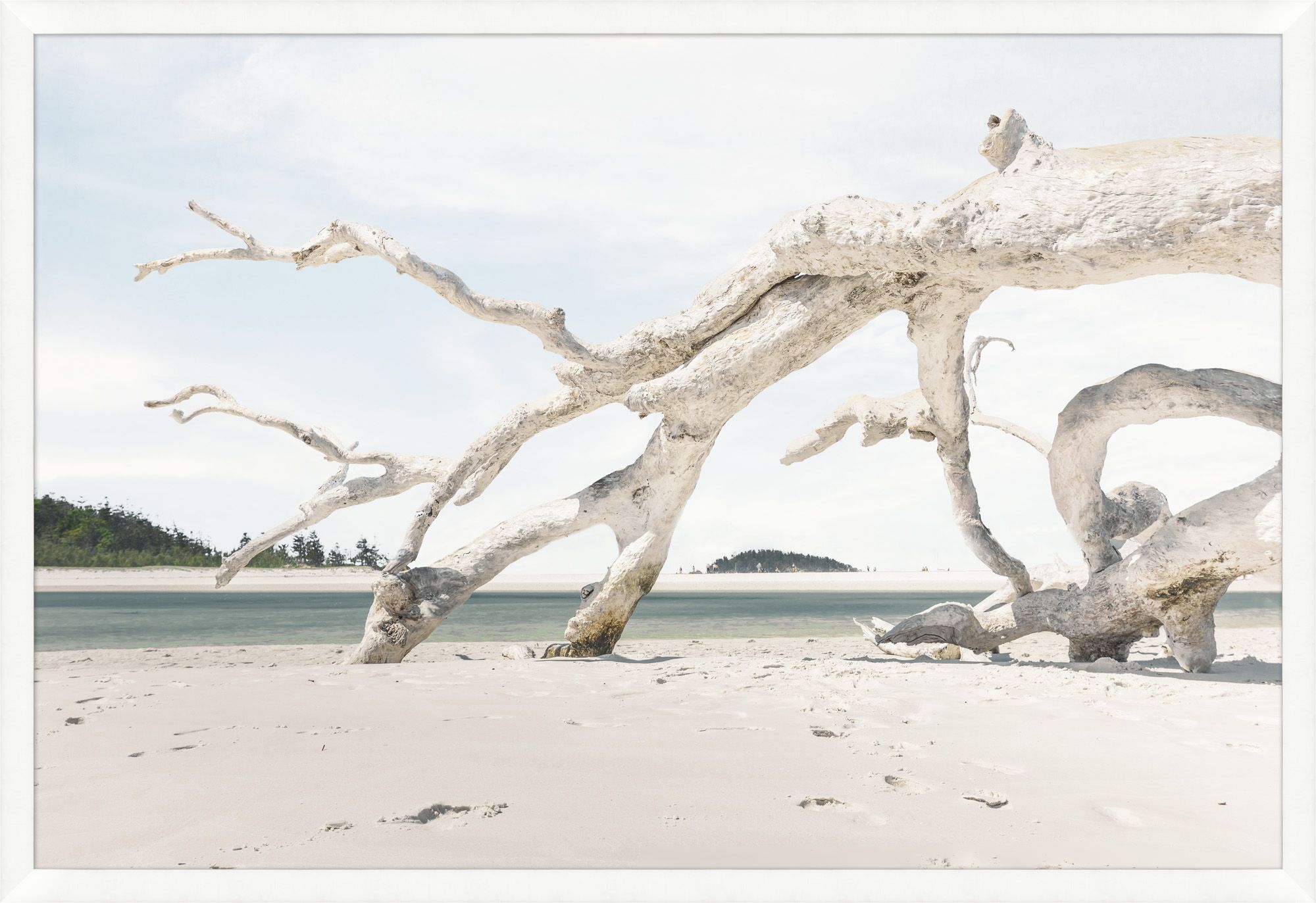 “Driftwood Beach”-$2,100.00