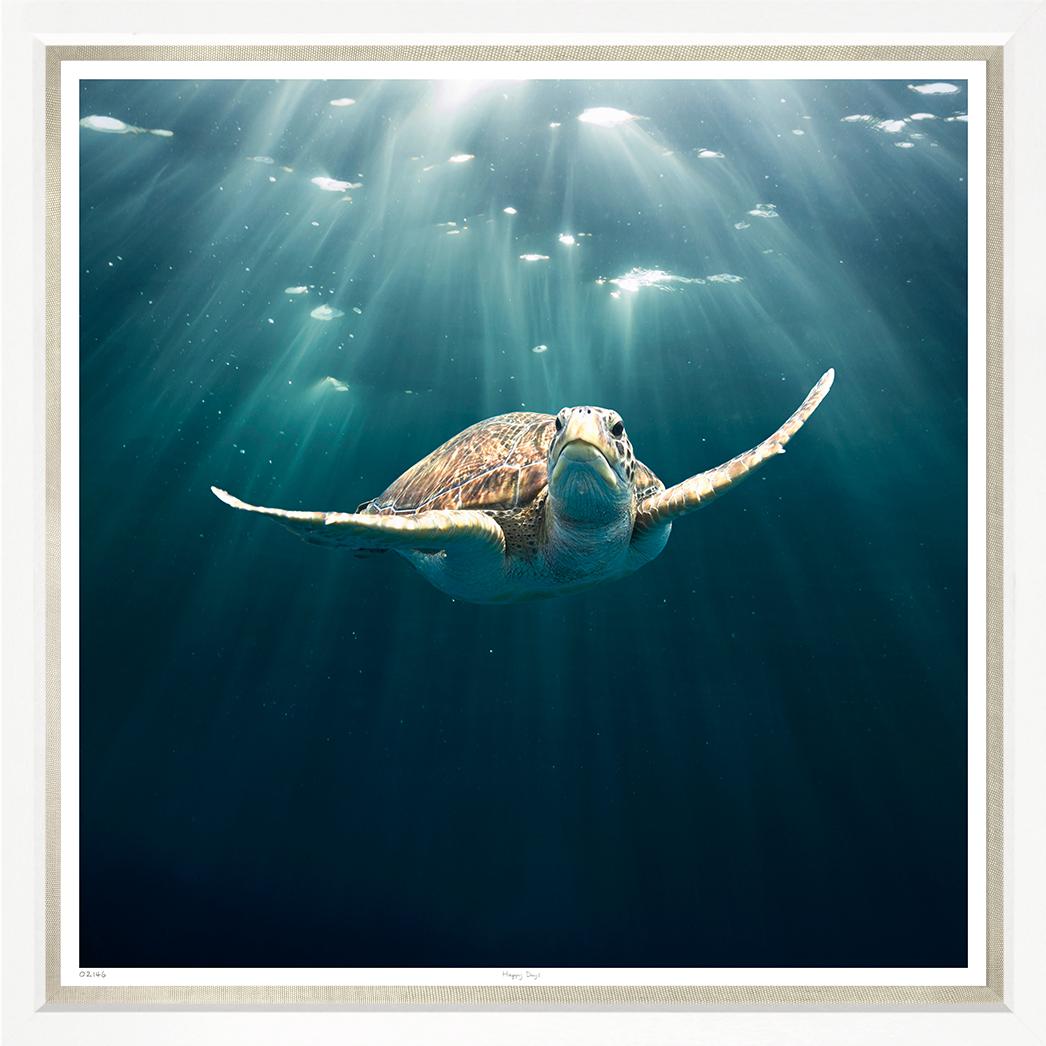 “Surfing the Seas”-$2,375.00
