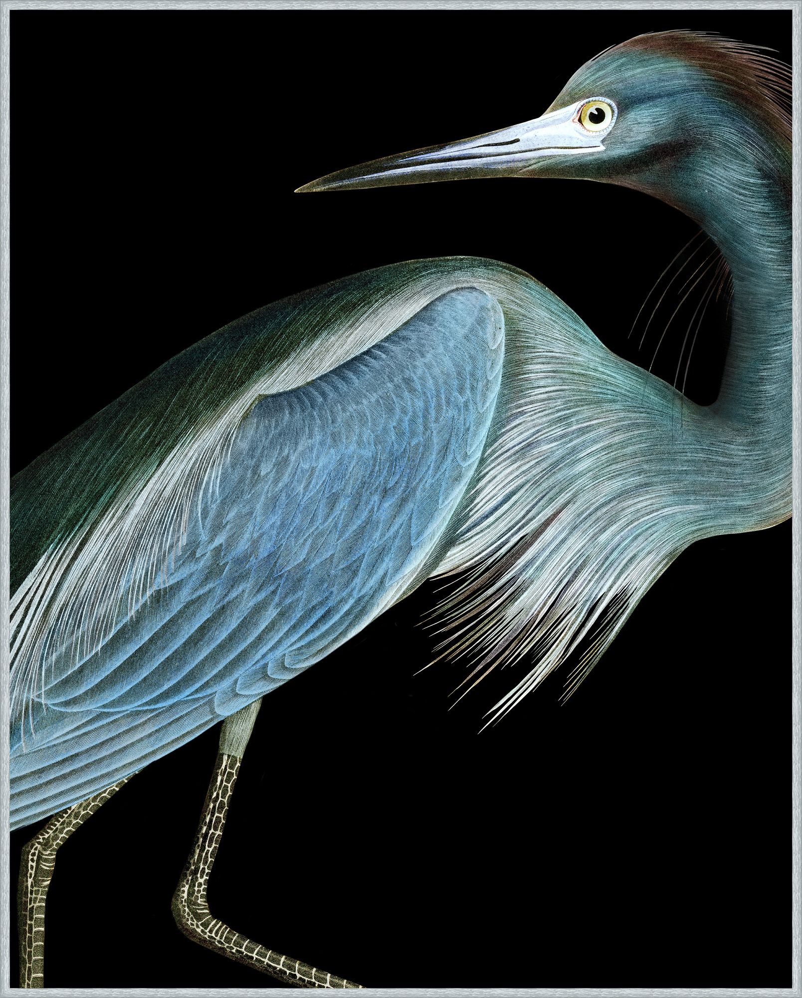 “Blue Heron 1”-$1,176.00