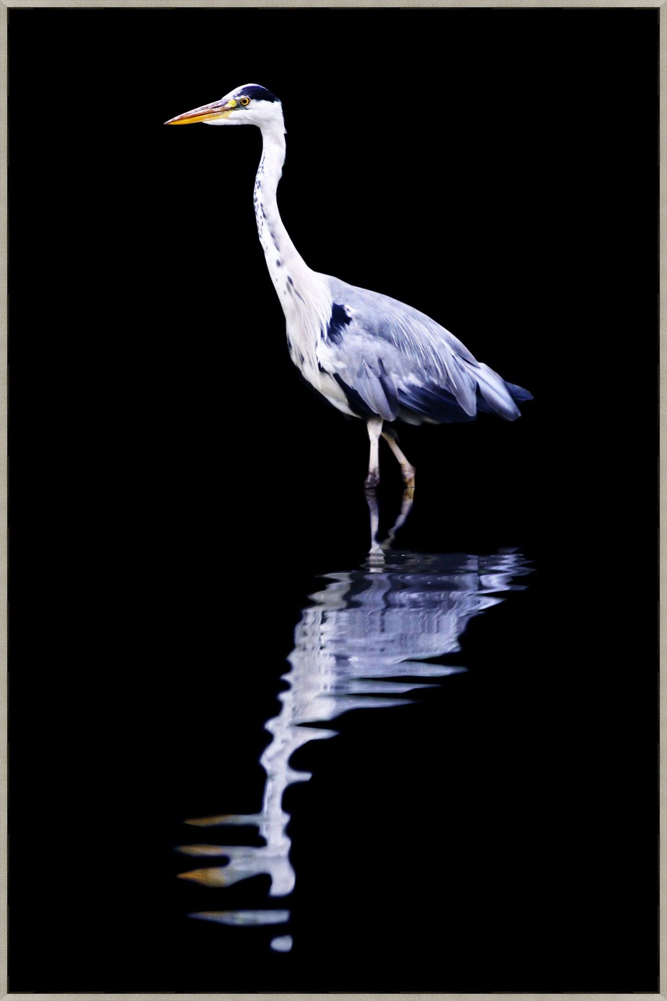 “Moonlit Reflective”-$765.00