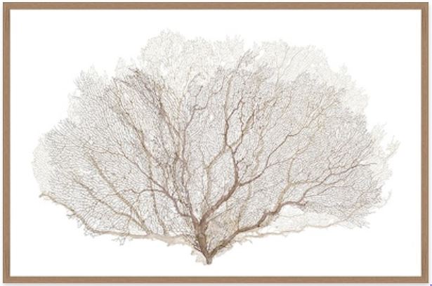 “Fan Coral I”-$1,946.00  OA