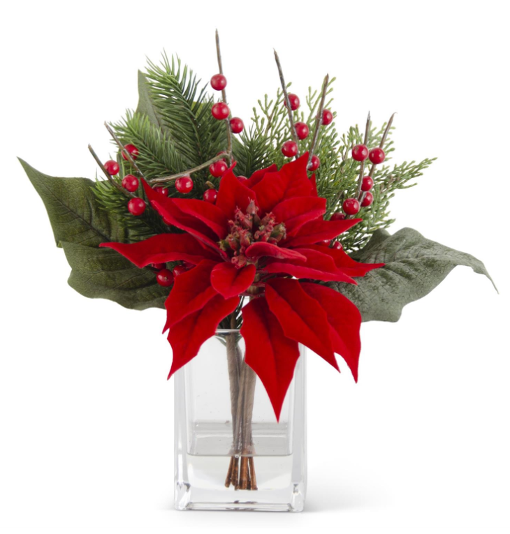Poinsettia and Pine Arrangement-$56.00