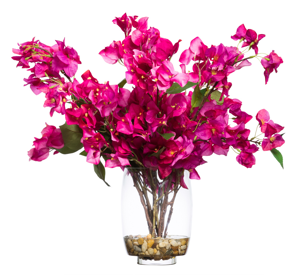Fushia Bougainvillea-$398.00