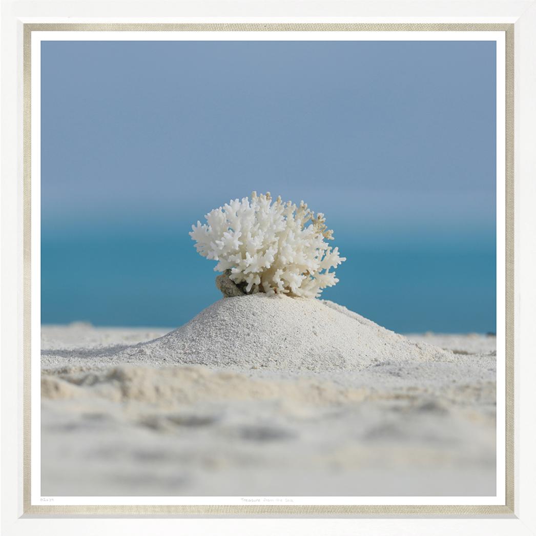 “Beach Treasure”-$2,375.00