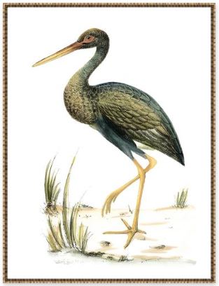 “Birds of the Water II”-$595.00  OA