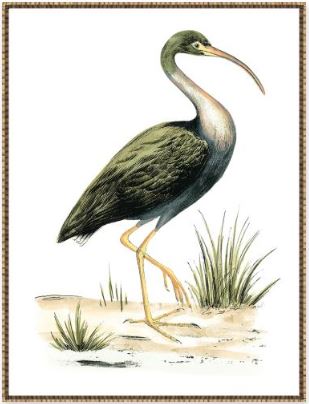 “Birds of the Water I”-$595.00  OA