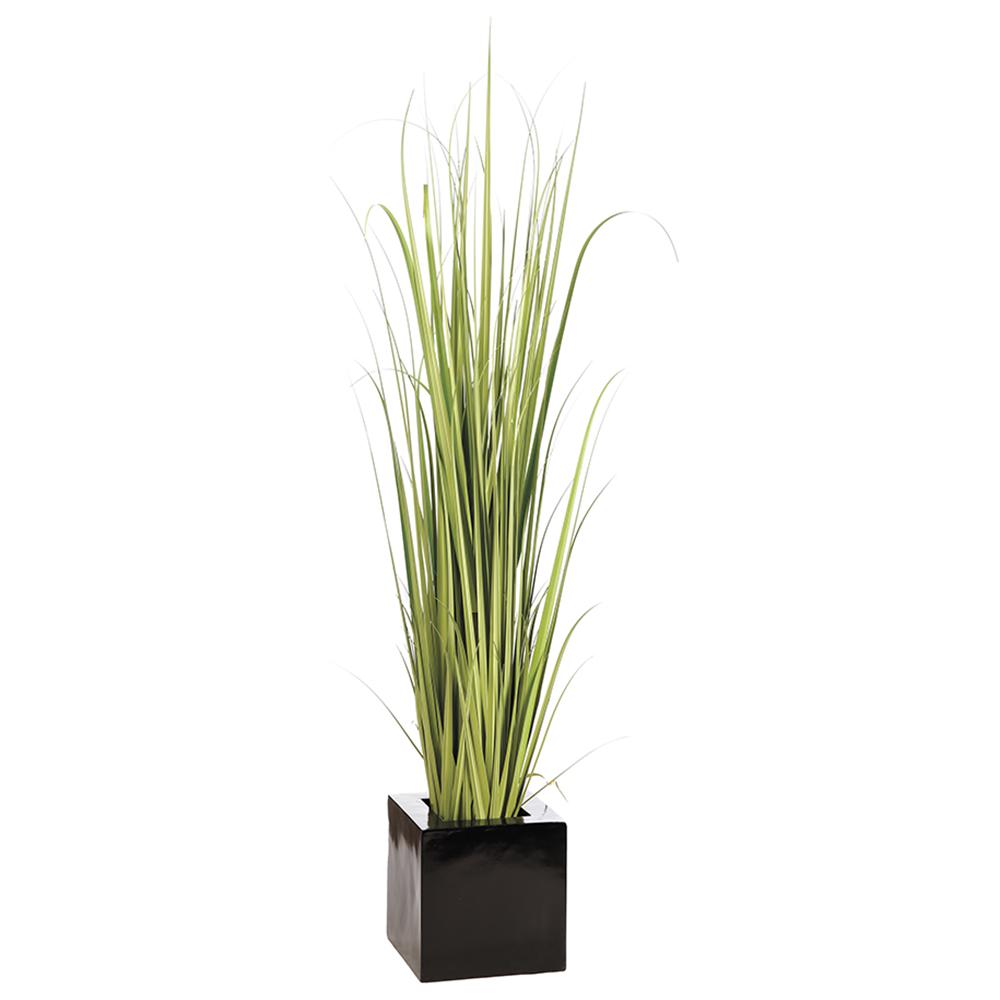 Tall Reed Grass-$1,170.00