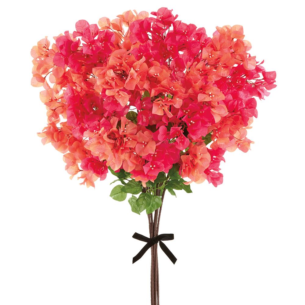 Bougainvillea Stems-$20.00 each