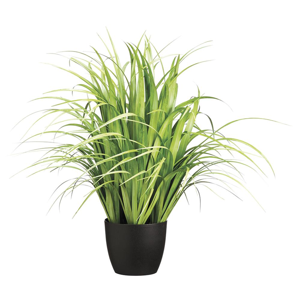 Reed Grass-$250.00