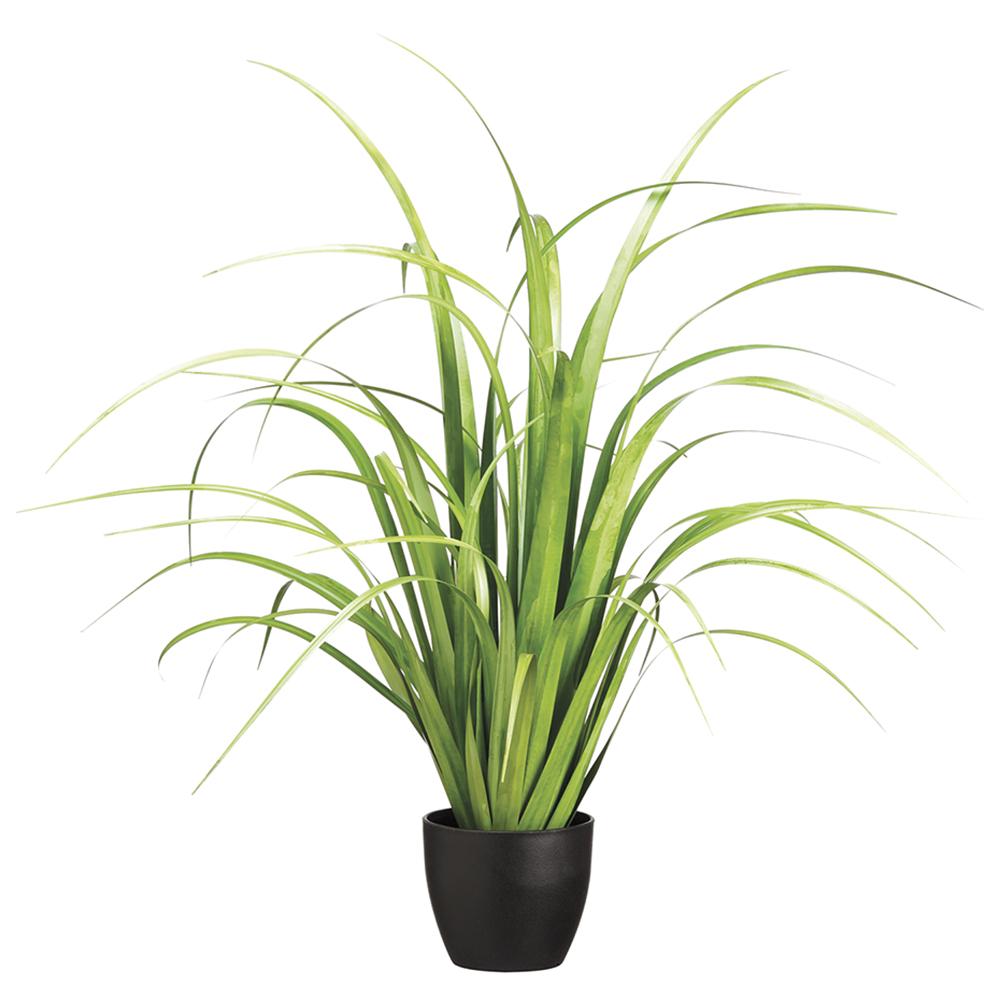 Reed Grass-$65.00