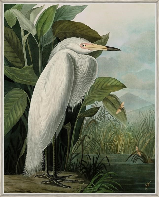 “Classic White Heron”-$998.00