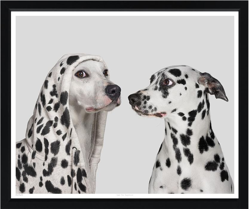 “Spot the Difference”-$2,500.00