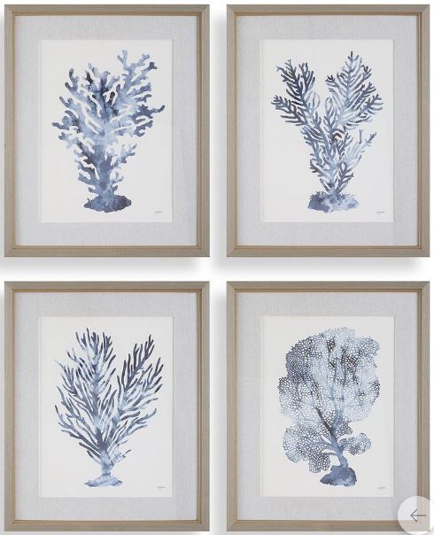 “Coral Study I-IV”-$195.00