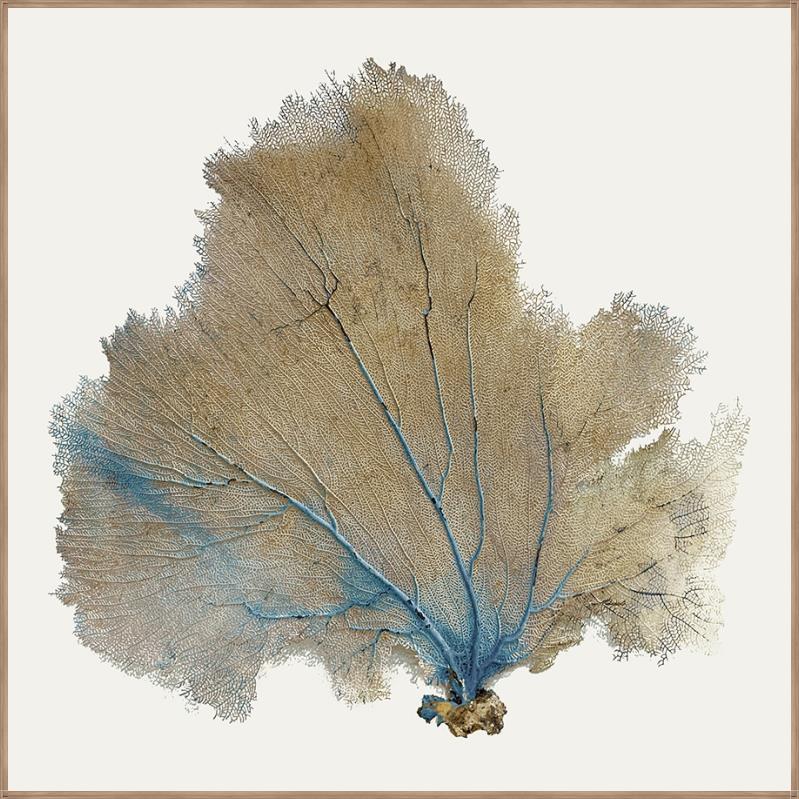 “Infused with Blue II”-$1,120.00