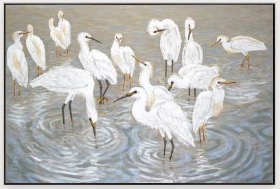 “Local Birds”-$935.00