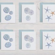 Watercolor Beachcomber notecards Watercolor Beachcomber notecards